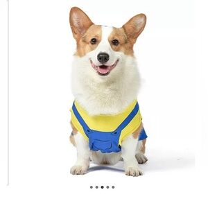 Minions Illumination: Minions Halloween Dog Apparel